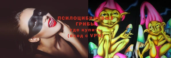 мдма Заводоуковск