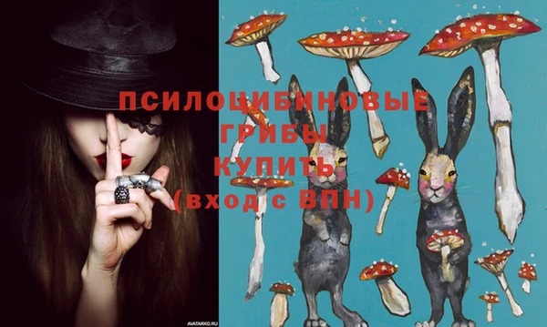 гидропоника Заволжск