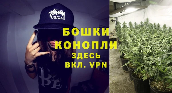 мдма Заводоуковск